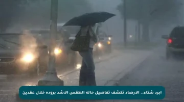 أبرد شتاء.. الأرصاد تكشف تفاصيل حالة الطقس الأشد برودة خلال عقدين